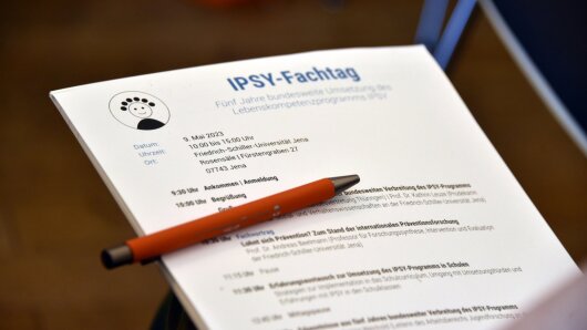 Programm vom IPSY-Fachtag